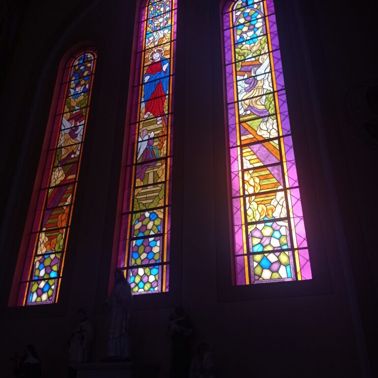 Paróquia Santuário Nossa Senhora do Rosário – Barretos SP (6)